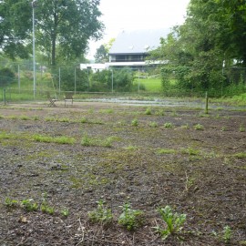 Aanleg privé tennisveld in Hasselt - afbeelding